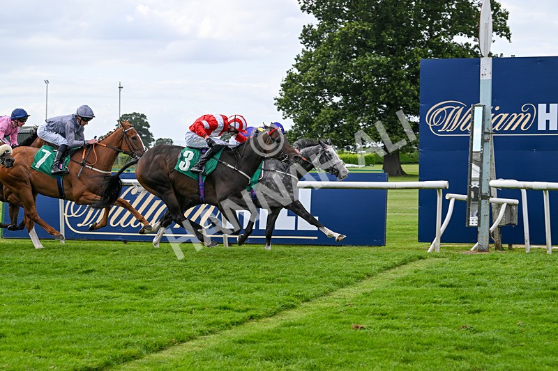 030824-Race 5-La Trinidad-1829 - Race 5