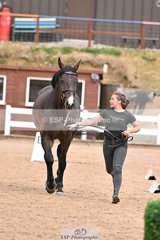 250716-162238-02599 - Trot Up 3.30 to 4.30