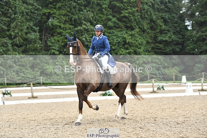 240720-160126-06336 - 142-Amberley_Pugsley-Hero_A