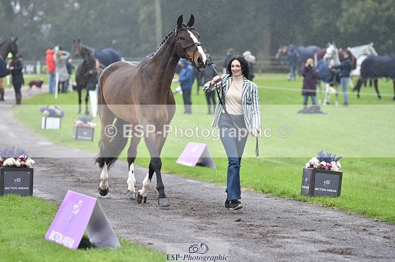 231018-121030-00115 - 013-CRIME.SCENE-Alexandra.Heard-TrotUp