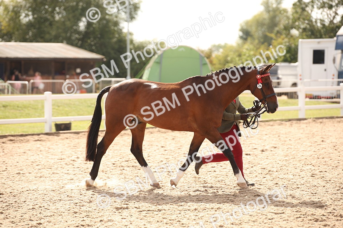 SBM_08163 - Class 27 - IH Competition Horse-Pony