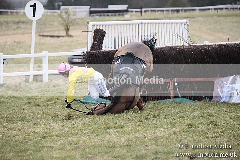 PtP 180218 279 - Combined Services Point-to-Point Larkhill 18/02/18