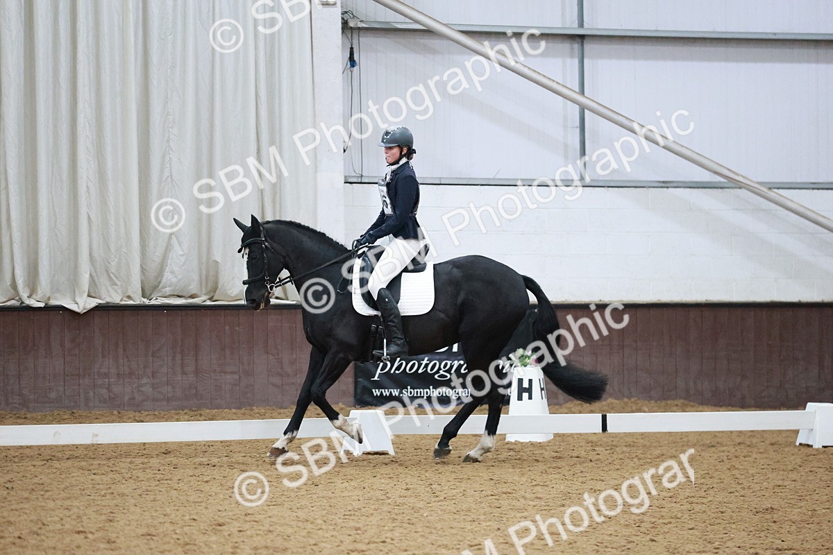 SBM_004620 - Ring 3 - International -  Working Hunter Classes 23-2-25