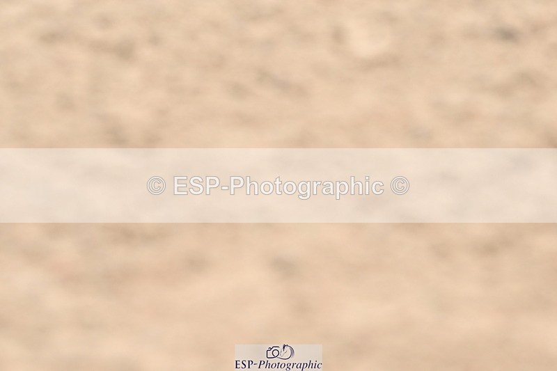 240523A-122923-01742 - Cls 3 Foxhunter