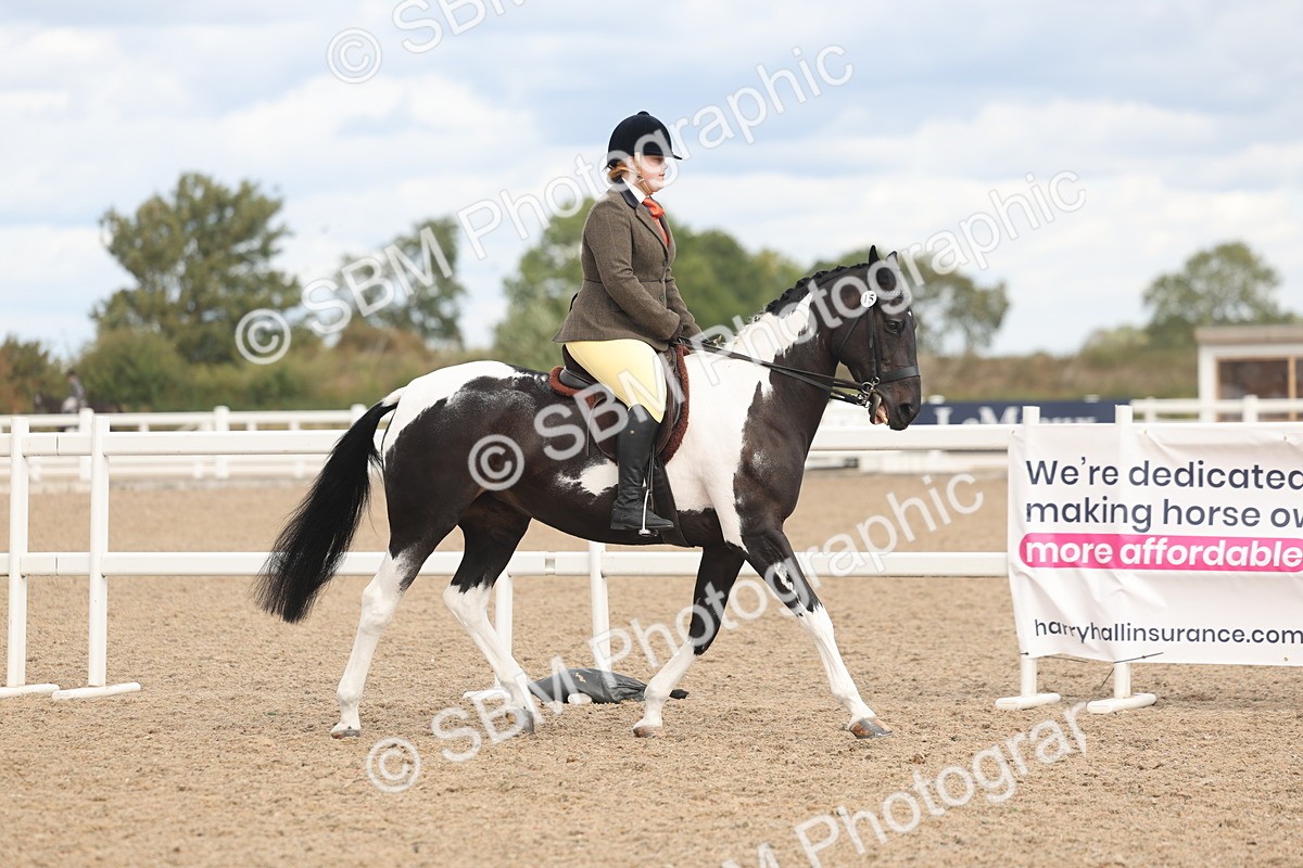SBM_14733 - Class 308 - Ridden Coloured Horse