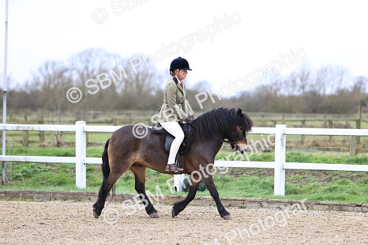 SBM_006737 - Class 29 - 30 - M&M Pure Novice Small-Large Breeds