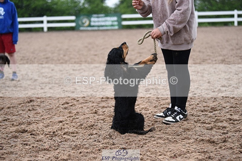 240518A-131402-01274 - Cls 7 Child Handler