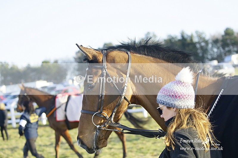 PtP 270222 671 - South & West Wilts Point-to-Point Larkhill 27/02/22
