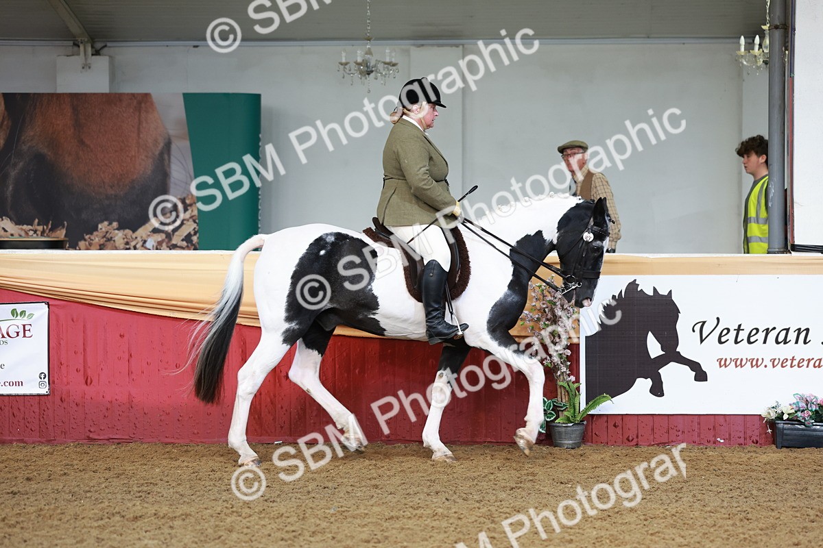 SBM_11814 - Class 102 - Equitation (Best Rider) Adult