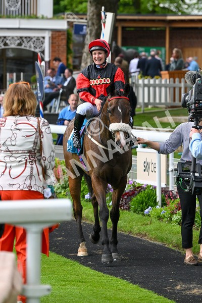 150524-Race 5-Diligent Resdev-4460 - Race 5 4.15pm Conundrum HR Consulting Handicap