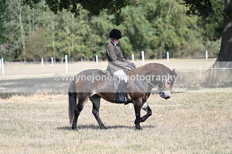 WJ7_2662 - Class 8 Ridden Tack & Turnout