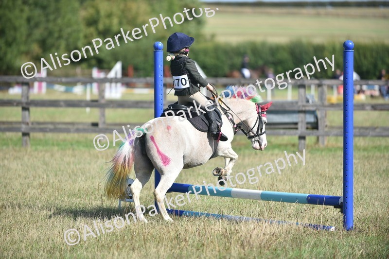 20260906-0972 - Class 7 - Absolute Novice Jumping 35cm
