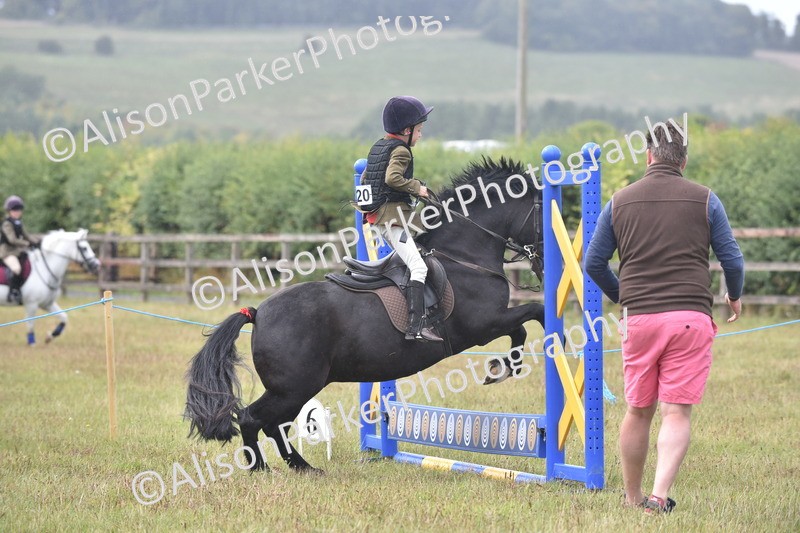 20250831-1862 - Class 9 - Absolute Novice 45cm