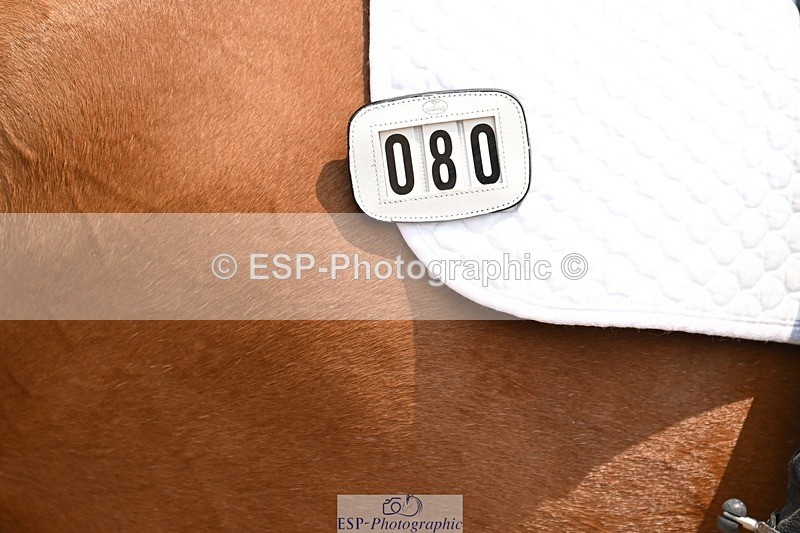 250816-133952-04878 - 080-Elizabeth.StoneZiggy