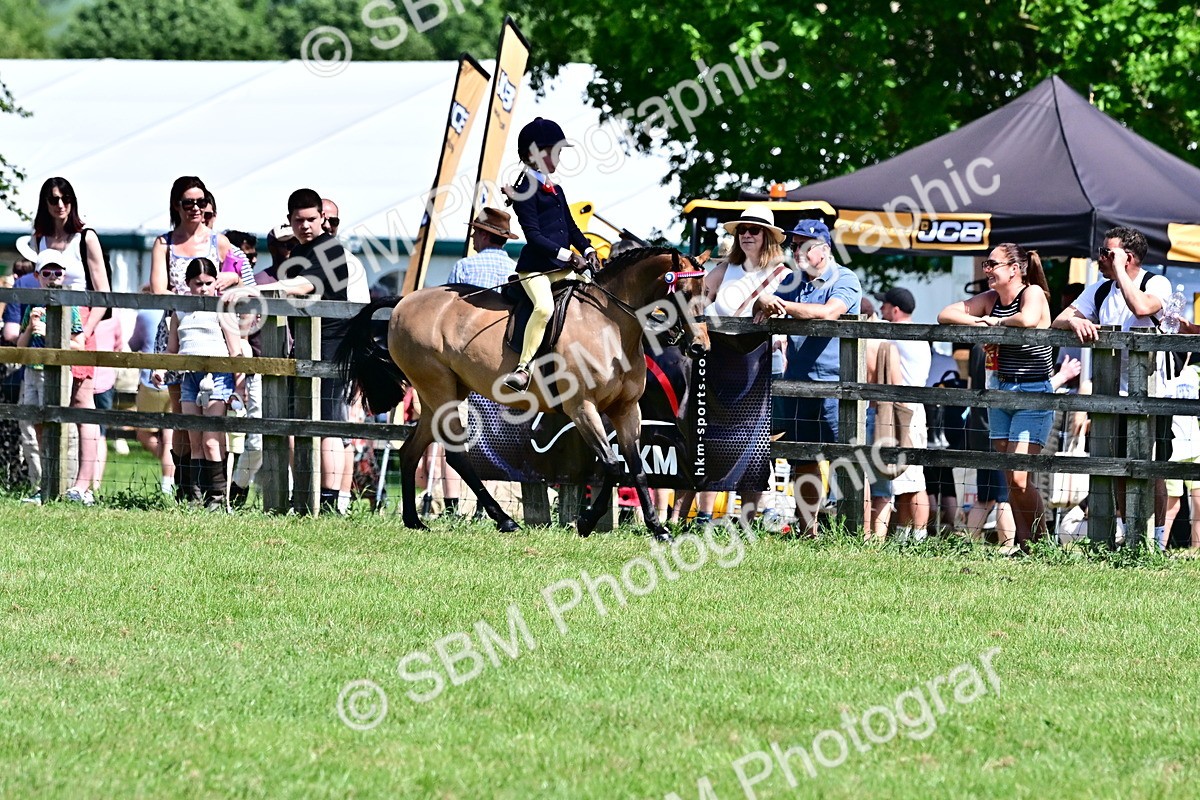 SBM_13986 - Class 95-97 - BSPS LHS Performance Ponies