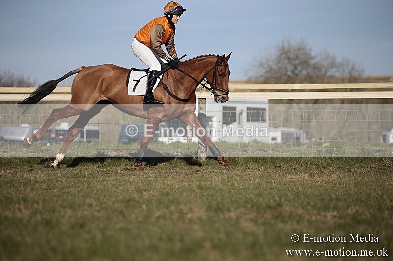 PtP 240218 462 - Vine & Craven Hunt Point-to-Point Barbury racecourse 24/02/18