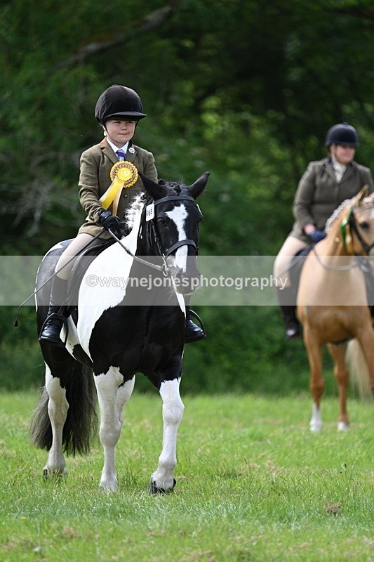 WJ7_2722 - Class 12A Coloured Class