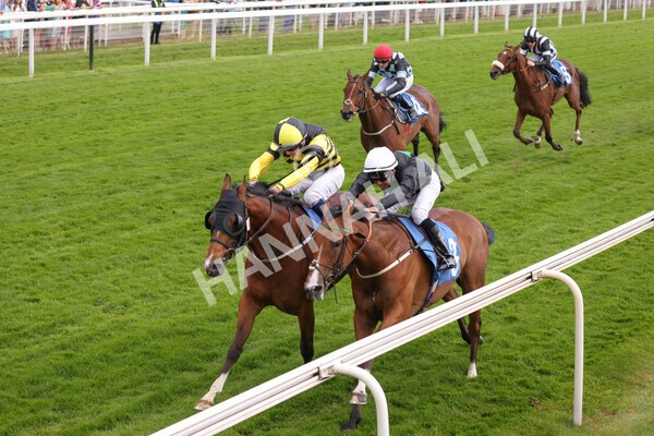 yr10062022r7-25 - Race 7 5.10pm Andy Thornton Hospitality Furniture Stakes