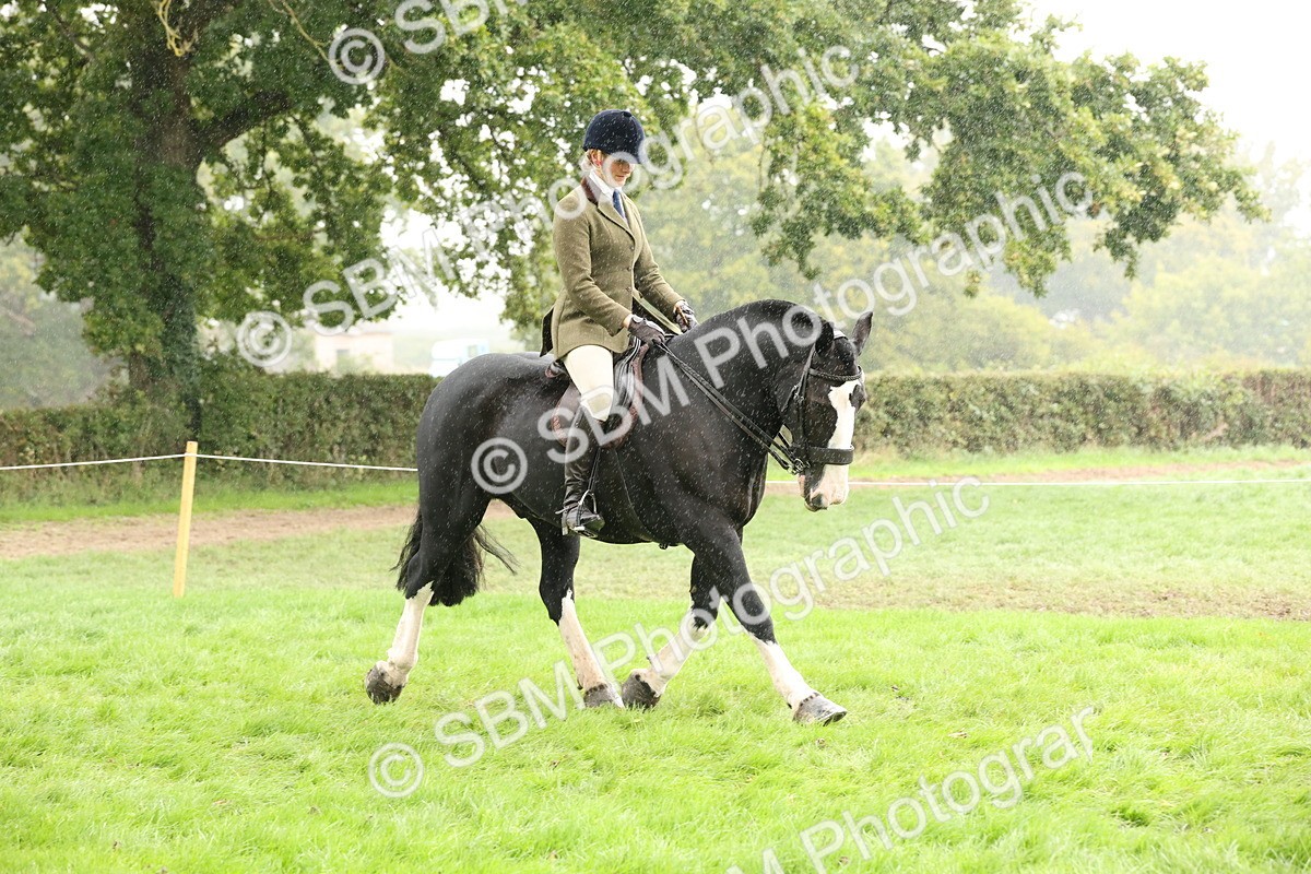 SBM_69783 - S69 - Show Cob Ridden