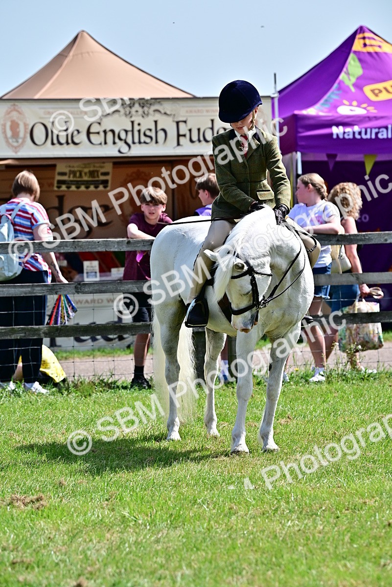 SBM_03767 - Class 58 - TSR  Ridden Veteran Amateur of the year