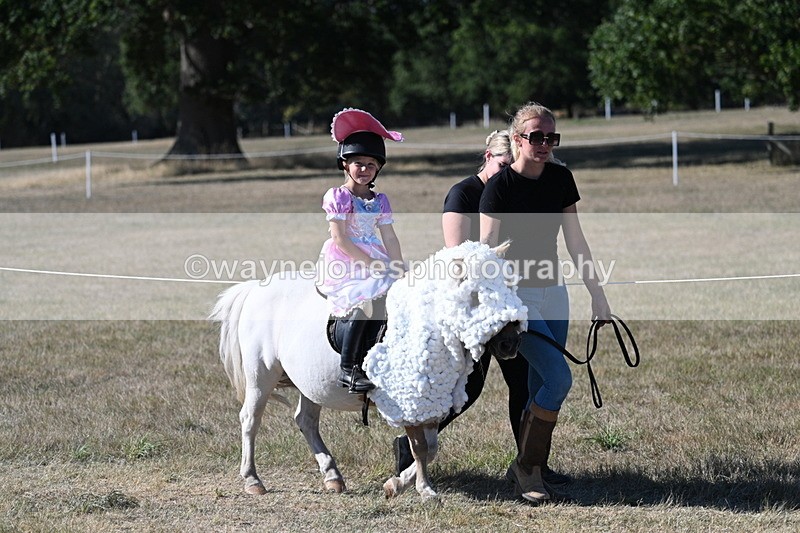 WJ7_2509 - Class 45 Fancy Dress (My Fav)