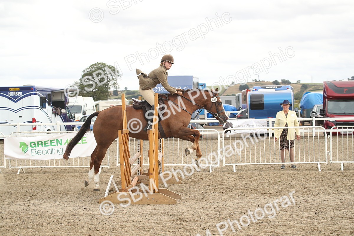 SBM_17743 - Class 508a - Working Veteran 70cm (15-19)