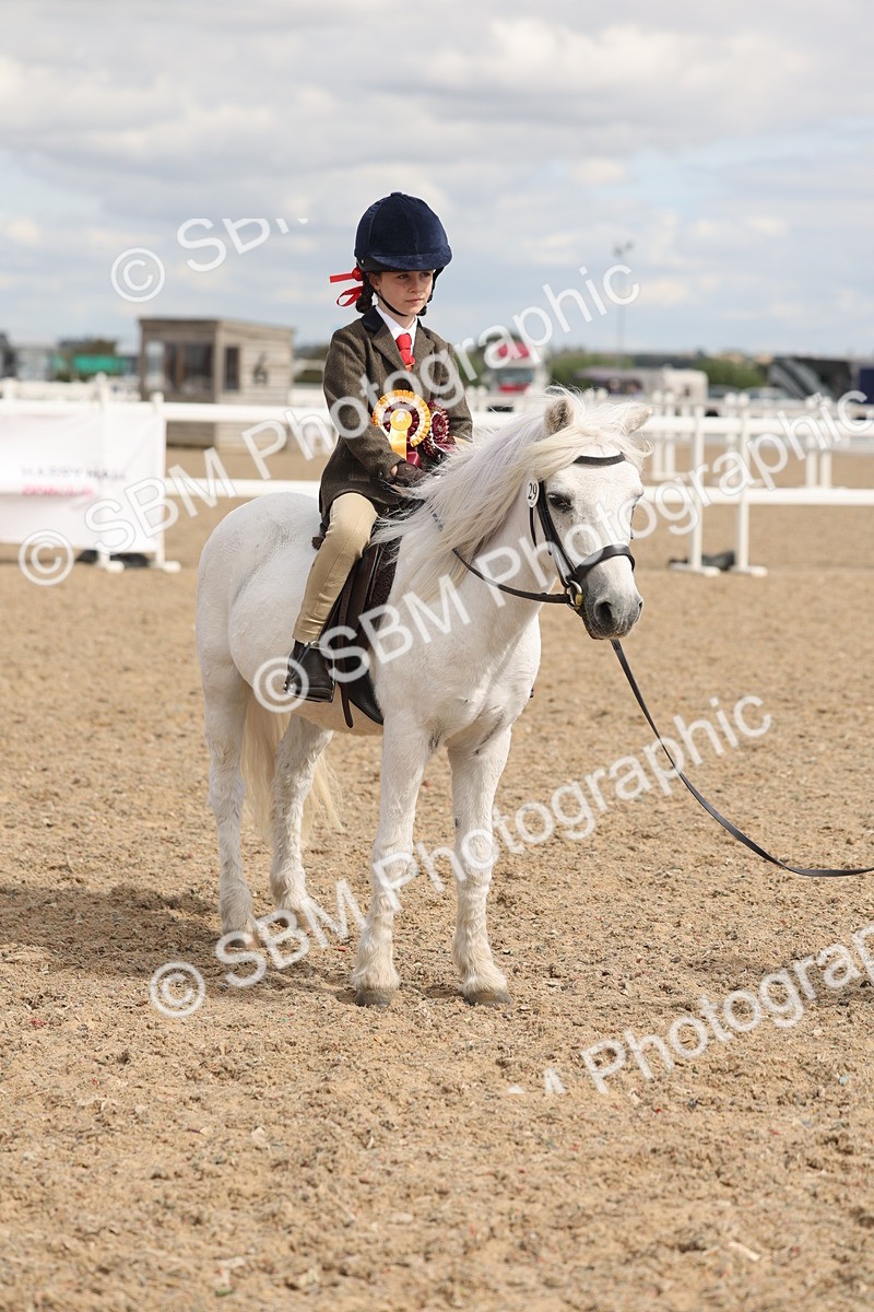 SBM_15846 - Class 309 - Lead Rein Pony