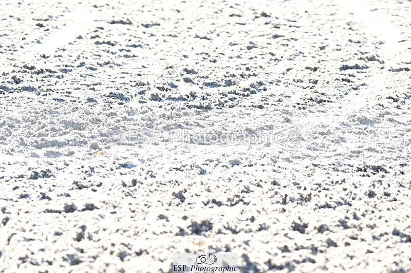 231110-112515-00412 - Cls 2 Prelim 17(a)Q