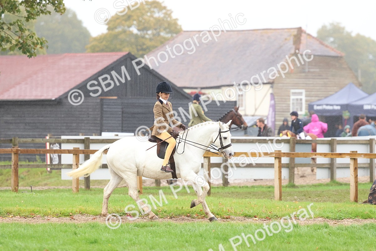 SBM_73047 - S63 Show Pony & Show Hunter Pony Ridden