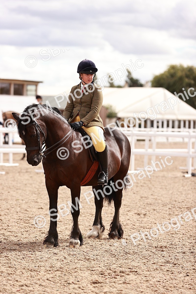 SBM_18386 - Class 418 - Best Condition - Jnr