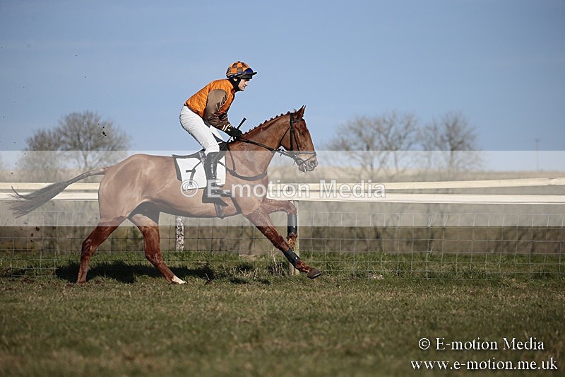 PtP 240218 465 - Vine & Craven Hunt Point-to-Point Barbury racecourse 24/02/18