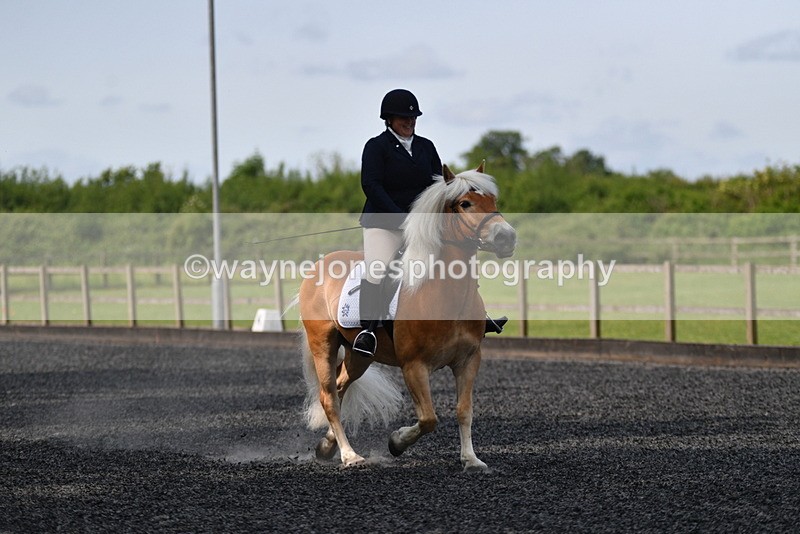 WJ5_9179 - Time 10:10 to 10:47