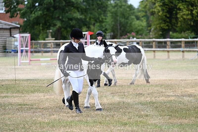 WJ7_1460 - Class 4 Prettiest Mare up to 14.2hh in hand