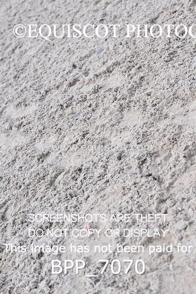 BPP_7070 - RING 1  (RIDDEN HORSES / IN HAND / VETERAN ETC)