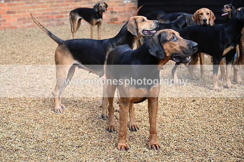 WJ7_7043 - Berks & Bucks at Blandy’s Farm 31-08-25