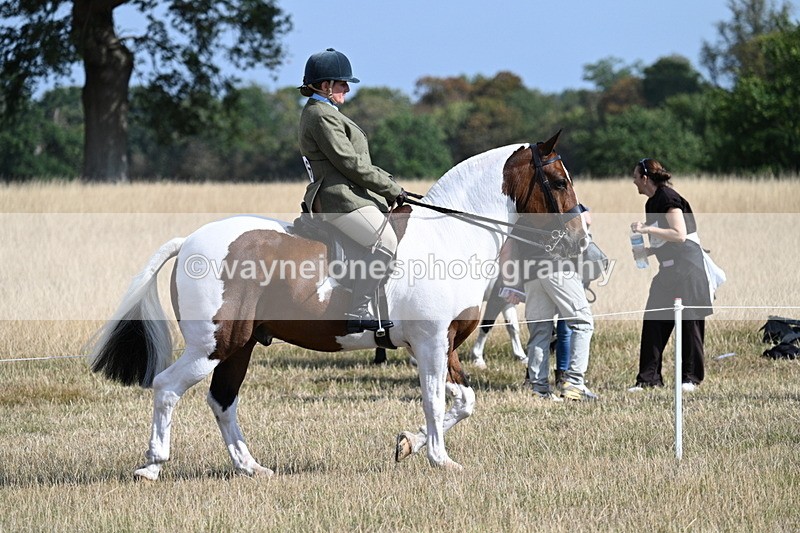 WJ7_2680 - Class 8 Ridden Tack & Turnout