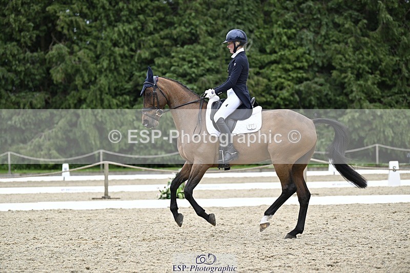 240523-145134-05117 - 442-FERNHILL_ZORO-Cassie_Sanger