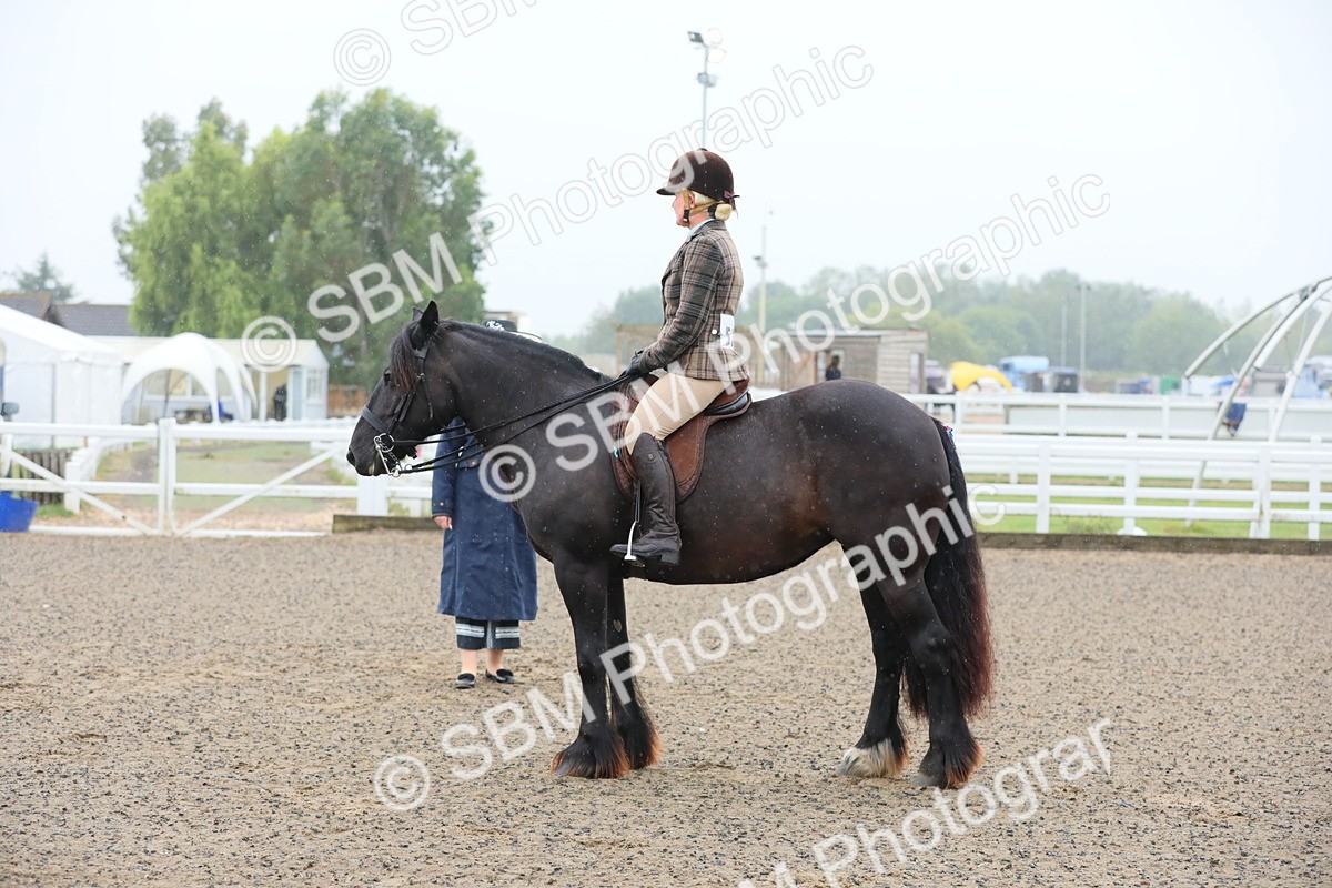 SBM_19877 - Class 801 - Ridden Veteran