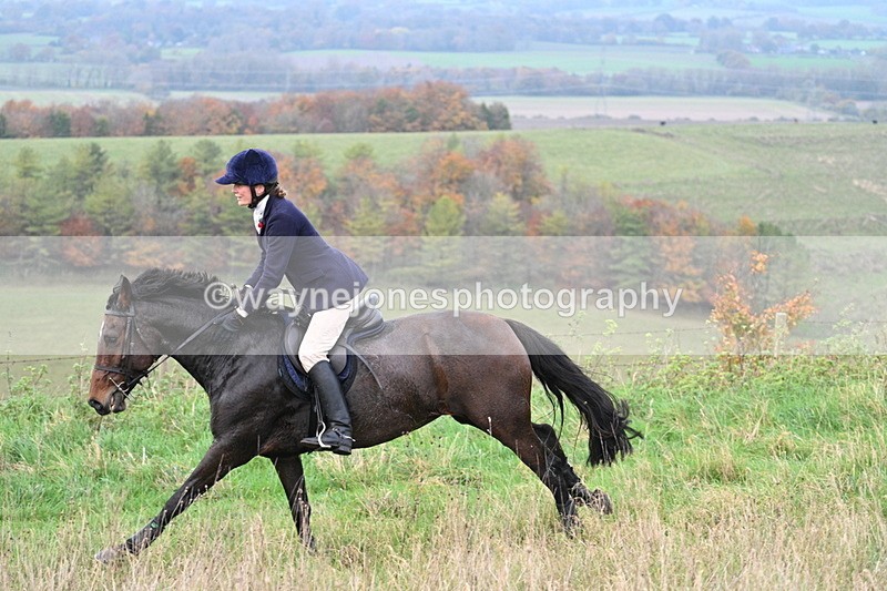 WJ7_0016 - Camera 1 & Last fence