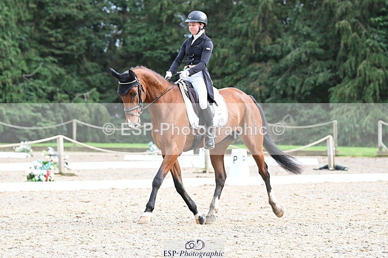 231019-163316-05360 - 070-SLIGO.CASTLE.JACOMAR-Veera.Peltokangas-DR