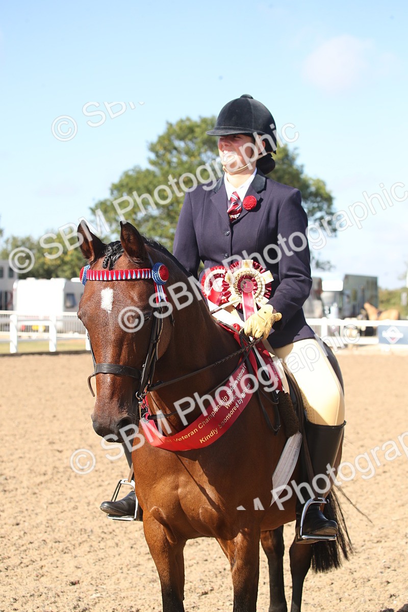 SBM_22855 - Class 602 - 2026 Area - Ridden Veteran