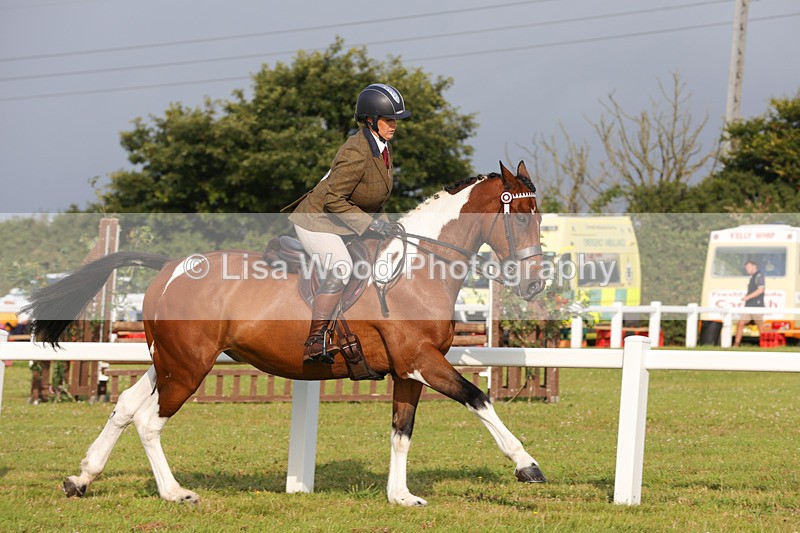 1X9A2905 - Class 25: Ridden Plaited Coloured Horse