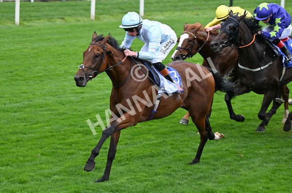 200825-101 Pride Of Arras - Race 3 3.00pm Sky Bet Great Voltigeur Stakes