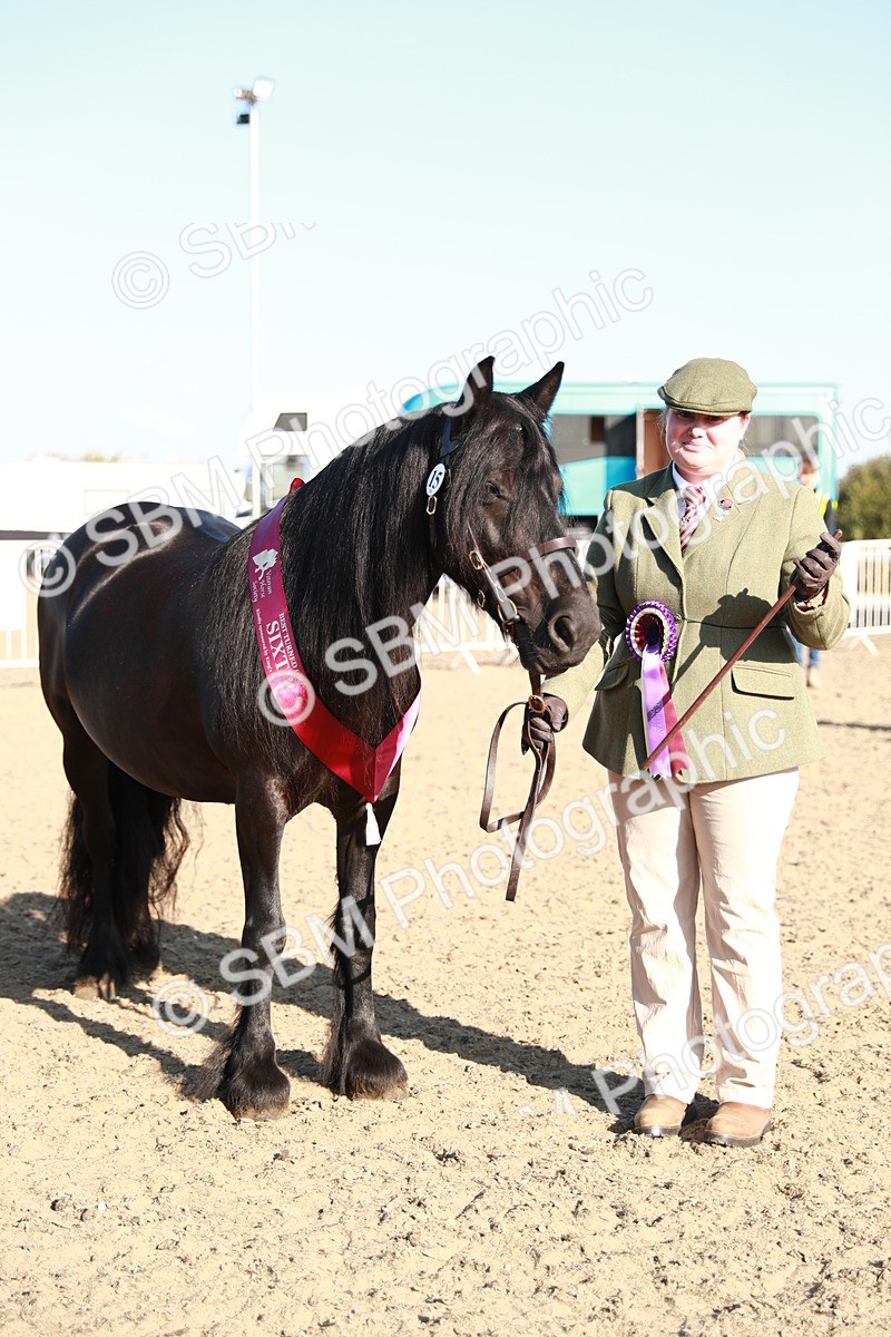 SBM_00142 - Class 40 Best Turned Out IH