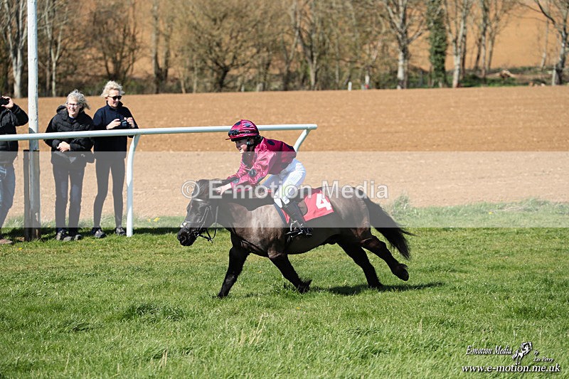 Shet 060426 192 - Shetland Pony Racing Paxford Races Easter Mon 06/04/26