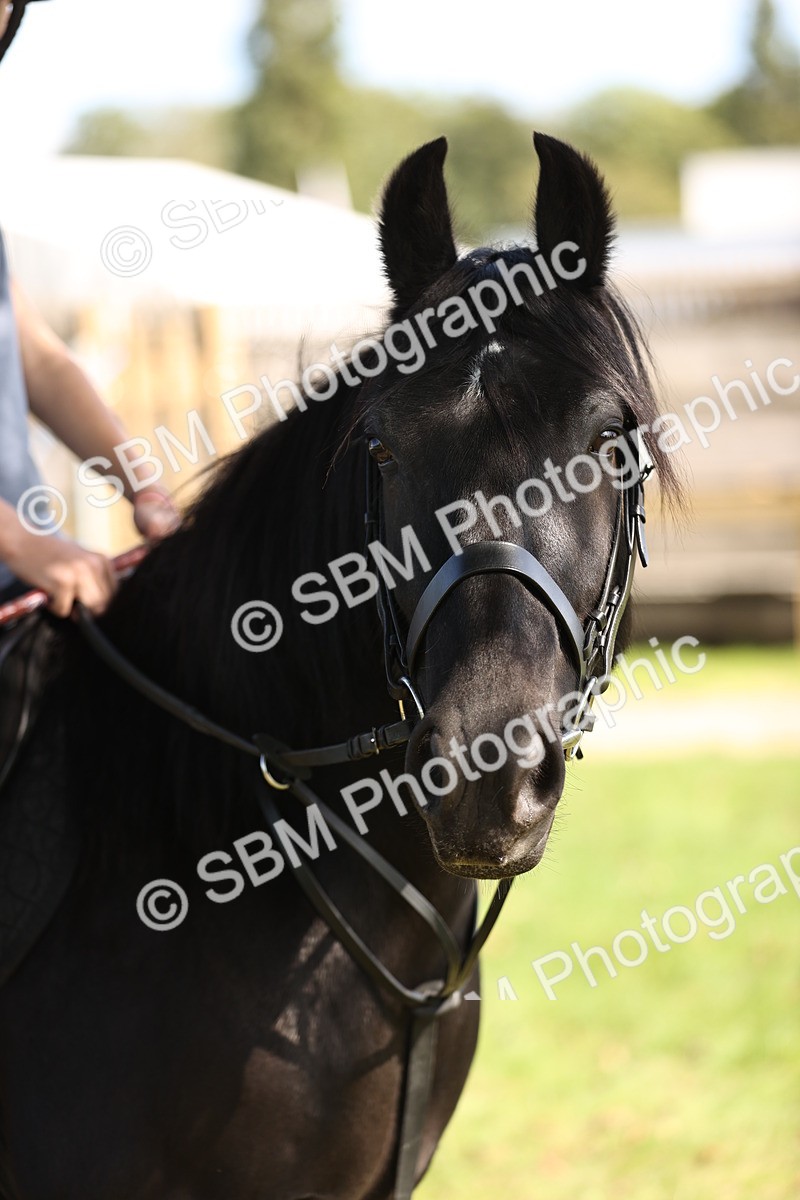 SBM_22995 - S4 - Have a Go at Working Equitation