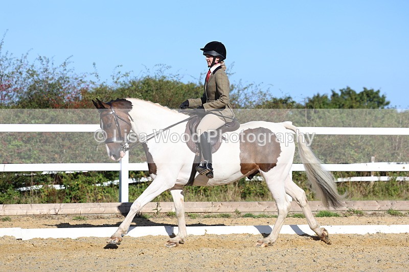 3E7A5272 - Class 8: Small Ridden Hunter