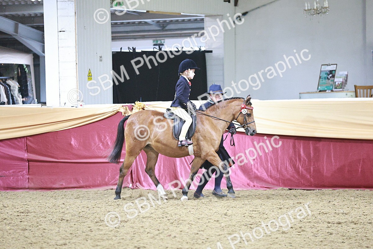 SBM_08061 - Class 11R - Regional Ridden Veteran