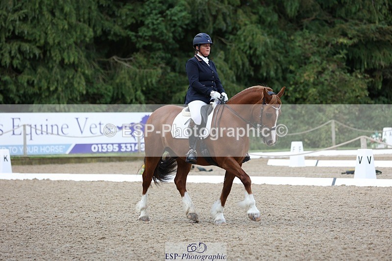 230813-094923-06144 - Cls 11 Elem Bronze Start to 10.50 break