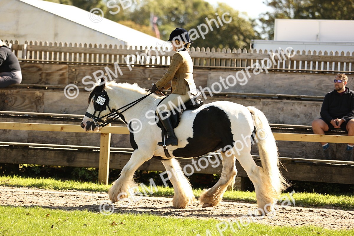 SBM_19095 - S3 - TSR Ridden Pony Showing